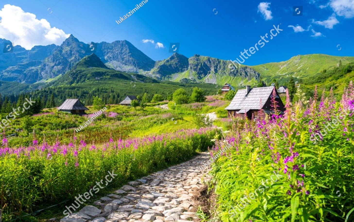 Path through a Meadow Tatra Mountains